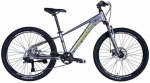 Kalnų dviratis Formula Zephyr 3.0 24", pilka/žalia