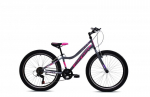 Vaiki&scaron;kas dviratis Capriolo MTB Diavolo 400, 24 colių, pilkas/violetinis