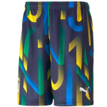 Sportiniai &scaron;ortai vyrams Puma Neymar Jr Future Printed Short M 605552-06, įvairių spalvų