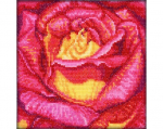 Siuvinėjimo kryželiu rinkinys, RTO, 12x12 cm