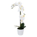 Dirbtinis augalas Orchidėja, 51 cm