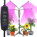 Logit 30W