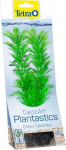 Plastikinis augalas Tetra Gr Cabomba, vidutinis
