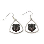 Bouvier des Flandres geometrinis auskaras Art-Dog, XS