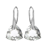 Sidabriniai auskarai moterims DiamondSky &bdquo;Evening Shine" su Swarovski kristalais DS03A123