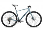 Miesto dviratis Giant FastRoad AR 1 28", pilkas, L