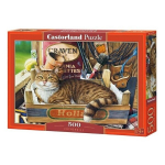 Dėlionė Castorland Katinas 500 det.