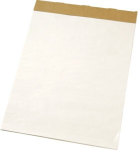 Konferencinis bloknotas Esselte 600x850mm, 50 lapų