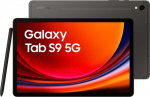 Plan&scaron;etinis kompiuteris Samsung Galaxy Tab S9 5G 8/128GB Graphite SM-X716BZAAEUB