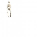 Kabantis skeletas 10*42cm