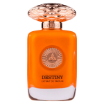 Auraa Desire, Destiny, Kvapų i&scaron;trauka, Vyrams, 100 ml