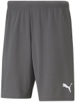 Puma &Scaron;ortai Vyrams Teamrise Short Grey 704942 13 704942 13/3XL