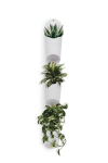 Daiktadėžės Floralink Umbra, balta, 3vnt.
