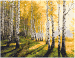Pie&scaron;imo rinkinys Beržynas 40x50
