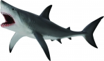 Didysis baltasis ryklys Collecta