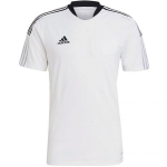 Mar&scaron;kinėliai vyrams Adidas Tiro 21 Training Jersey M GM7590, balti