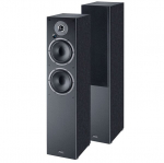 Belaidis Bluetooth garsiakalbis Magnat monitoriaus nuoroda 5A juodas / pora