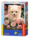Dėlionė Castorland Pomeranian Puppy in Roses, 300 d.