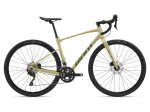 Žvyro dviratis Giant Revolt 1 28" Pale Olive (2025) &ndash; M, M