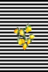 Asir kilimas Hmnt547 50x80 cm