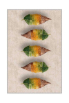 Asir kilimas Hmnt567 80x150 cm