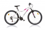 Kalnų dviratis Aurelia 427D 27.5", baltas