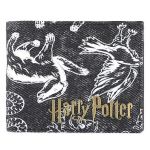 Harry Potter Hogwarts House Symbols Bi-Fold