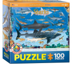 Dėlionė Eurographics, 6100-0079, Sharks, 100 d.