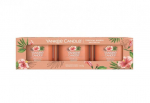 Aromatinė Žvakė Yankee Candle Tropica l Breeze, 3 x 37 g