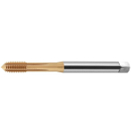 Sriegiklis Din-371-c M6 6hx Sr Hsse-pm Wgn Tn2