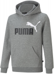Džemperis berniukams Puma, pilkas