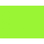 Spalvotas popierius 80g A4/100l Fluo žalias
