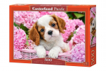 Dėlionė Puzzle Castorland, 500 dalių