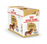 Royal Canin Dachshund suaugusiems &scaron;unims, 12x85g