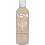 Drėkinamasis plaukų kondicionierius su gebenės lapais ir migdolų aliejumi Noah 250 ml