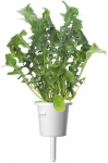 Click & Grow SGR19X3