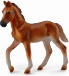 Figūrėlė Collecta Arklys Paso 88751