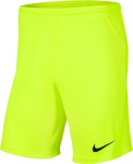 &Scaron;ortai vyrams Nike BV6855 702, žali