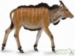 Collecta Eland ver&scaron;elis M figūrėlė