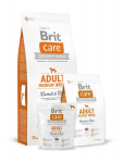 Brit Care Adult vidutinių veislių &scaron;unims su ėriena ir ryžiais, 3 kg