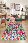 Asir kilimas Pictura Djt 80x140 cm