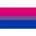 LGBT DIDŽIOJI vaivoryk&scaron;tės vėliava 90x150cm BISEXUALITY F7, LGBT DIDŽIOJI vaivoryk&scaron;tės vėliava 90x150cm BISEXUALITY F7