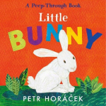 Little Bunny, Little Bunny