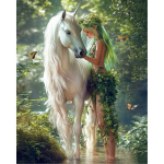 Tapymas pagal numerius 40x50 cm, Mistinė aljansas, varvikas, MG2516e