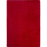 Ayyildiz kilimas Joy 120 120x160 cm