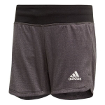 Sportiniai &scaron;ortai mergaitėms Adidas YG TR Chill SH Jr DV2799