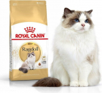 Royal Canin skudurinukių veislės katėms Adult, 0,4 kg