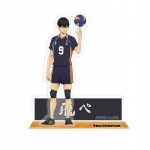 Haikyu!! Akrilinė figūrėlė - Kageyama