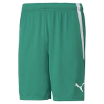 PUMA futbolo &scaron;ortai vyrams PUMA teamLIGA Shorts Pepper Green-Puma - 70492405, žali