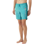 Champion Beachshort vyri&scaron;ki maudymosi &scaron;ortai, mėtų spalvos 219978 BS184